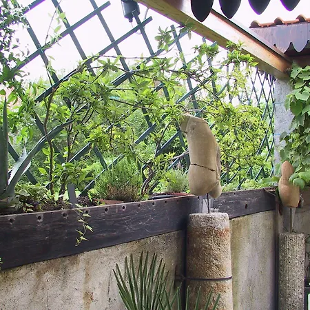 Il Rustico Bed & Breakfast Turate